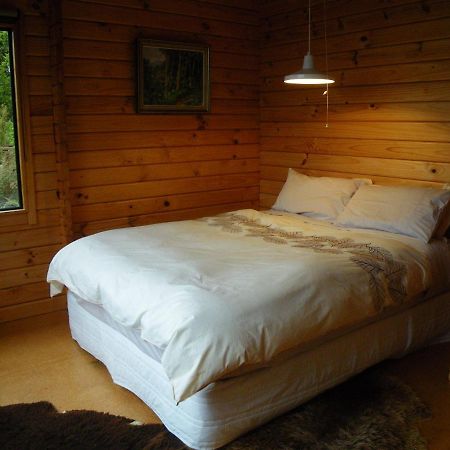Arthur'S Pass Ecolodge Cass 외부 사진